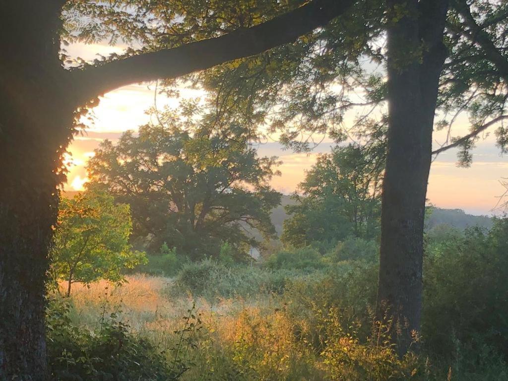 Domaine La Faix, Gite La Forestiere Saint-Plaisir Exterior foto