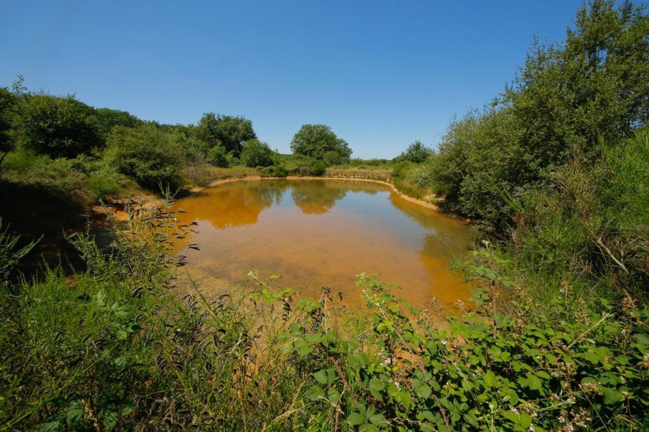 Domaine La Faix, Gite La Forestiere Saint-Plaisir Exterior foto