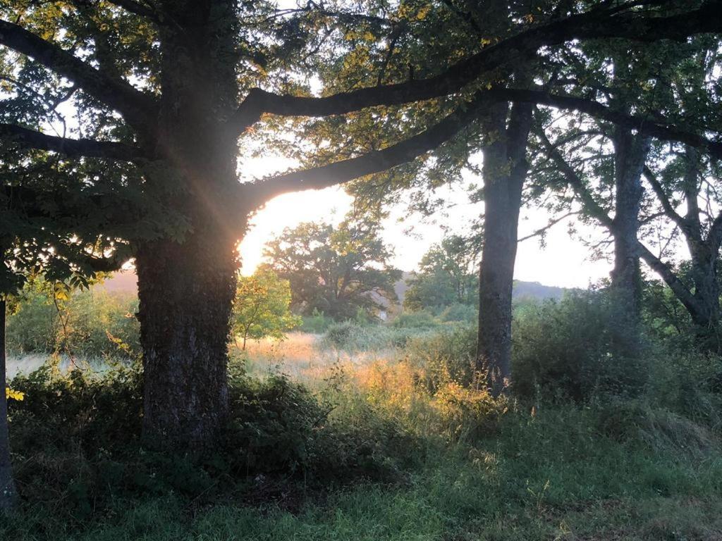 Domaine La Faix, Gite La Forestiere Saint-Plaisir Exterior foto