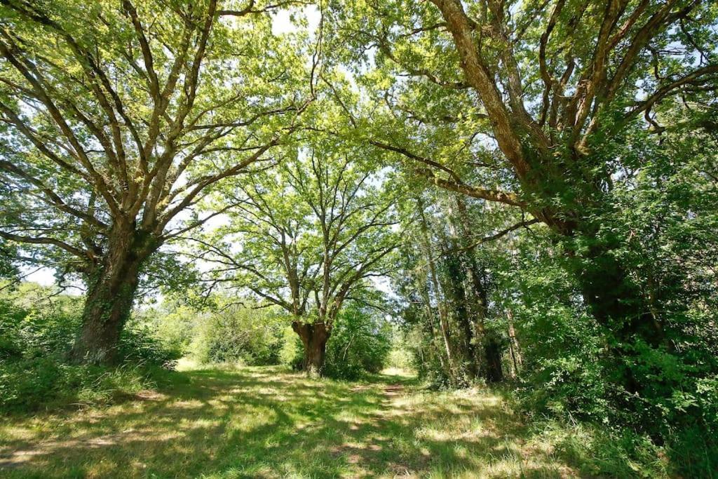 Domaine La Faix, Gite La Forestiere Saint-Plaisir Exterior foto
